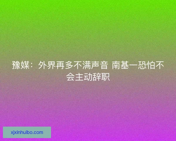 豫媒：外界再多不满声音 南基一恐怕不会主动辞职