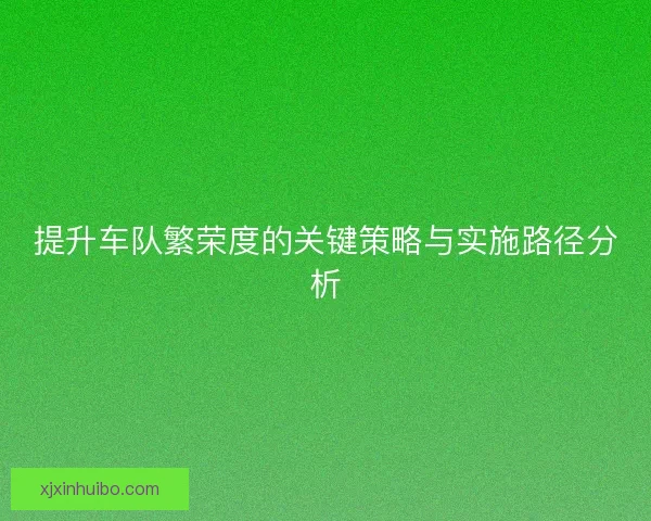 提升车队繁荣度的关键策略与实施路径分析