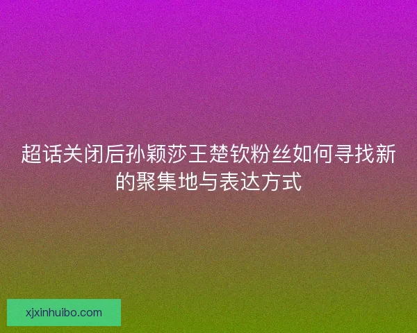 超话关闭后孙颖莎王楚钦粉丝如何寻找新的聚集地与表达方式