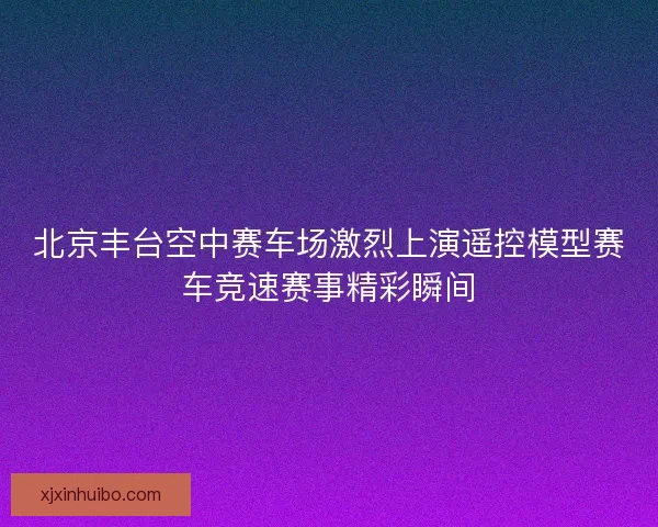 北京丰台空中赛车场激烈上演遥控模型赛车竞速赛事精彩瞬间